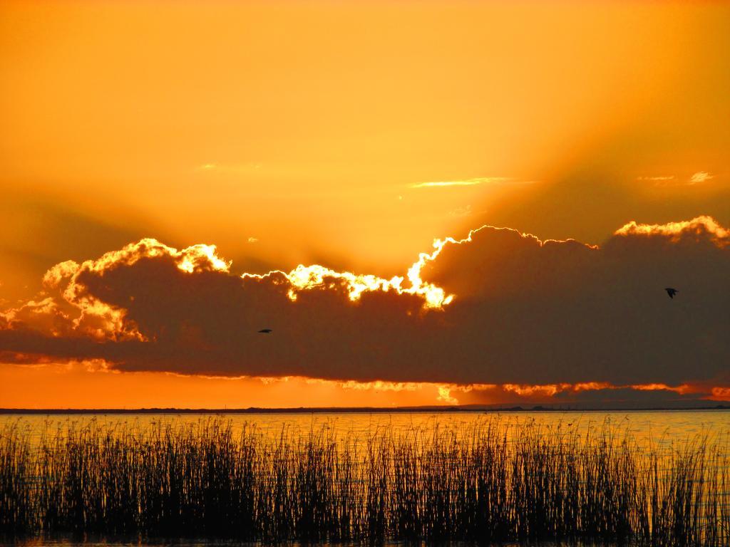 ホテル Lake Albert Caravan Park Meningie エクステリア 写真